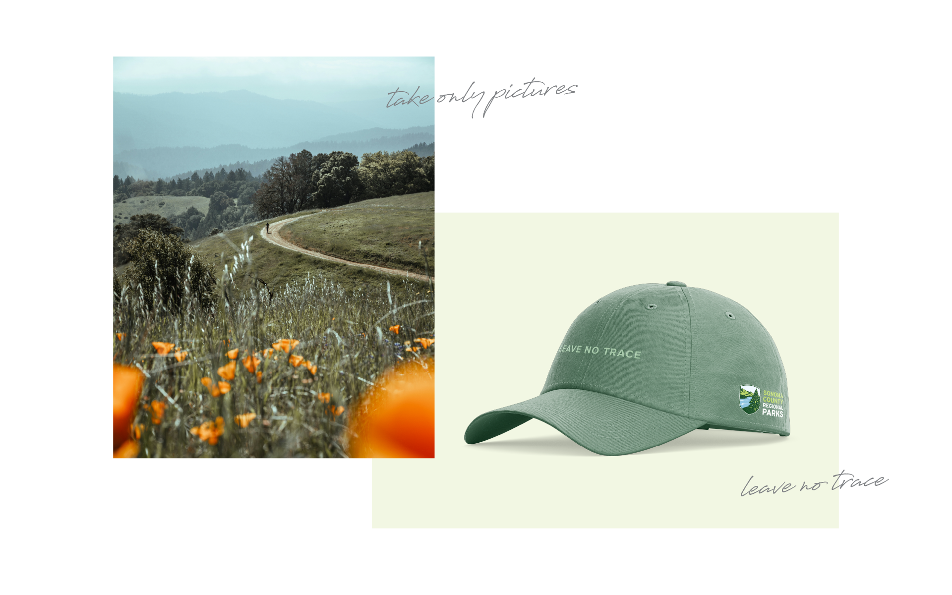 a green baseball cap with the words Leave No Trace and the Sonoma County Regional Parks logo next to a photo of California Poppies on the Sonoma Coast