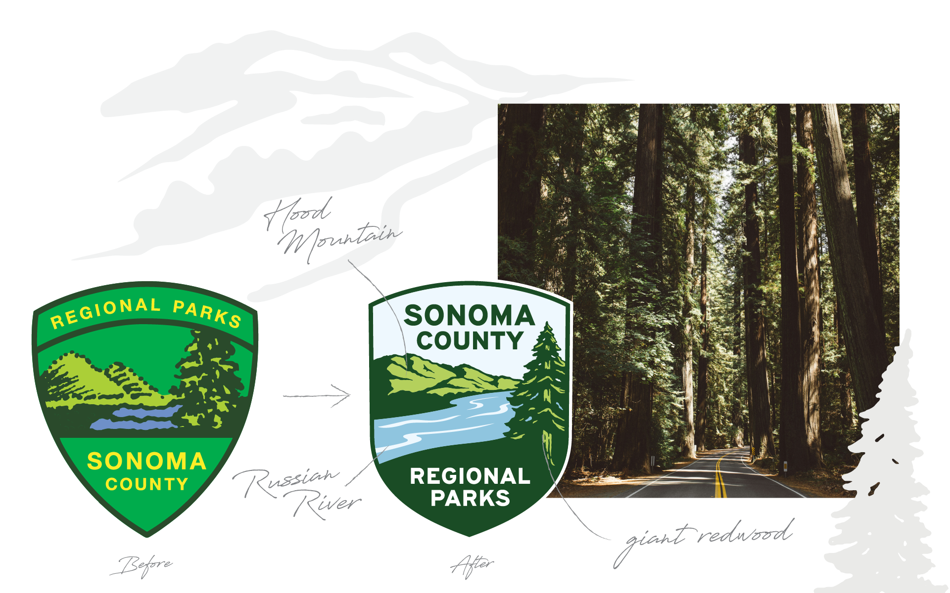 The sketch process of redesigning the Sonoma County Regional Parks Logo