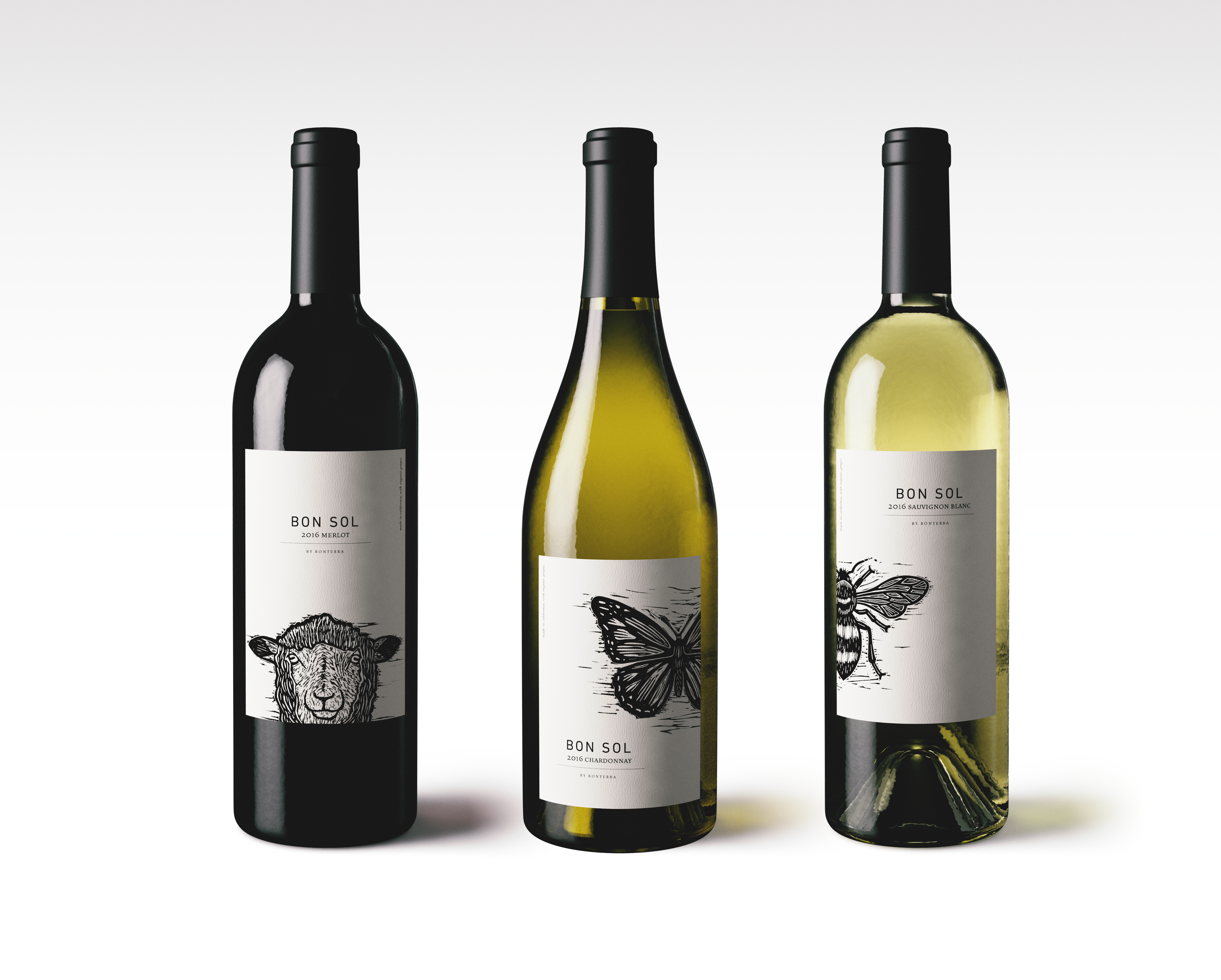 Wine Packaging Design